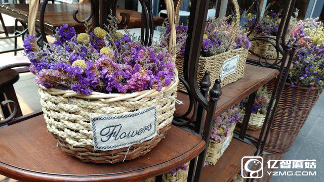 2000萬像素體驗(yàn) 中興天機(jī)7拍照專項(xiàng)評(píng)測(cè)