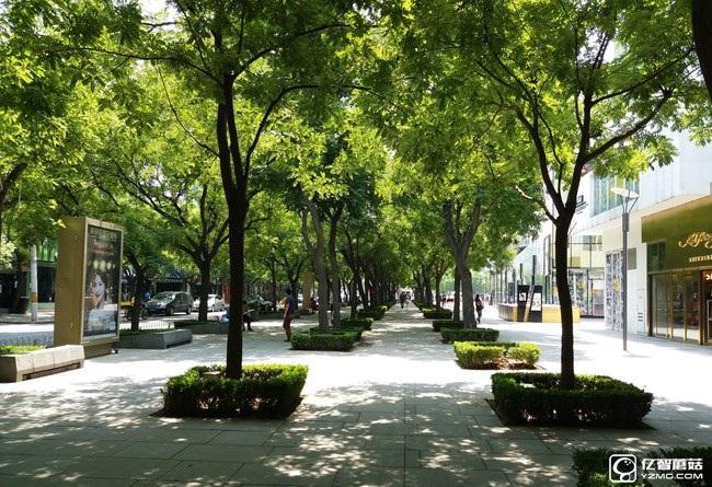 三星C5拍照怎么樣 樣張組圖欣賞