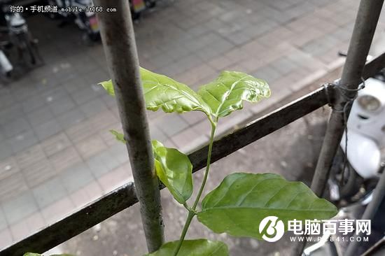 打造青年精品 中興V7 Max評測