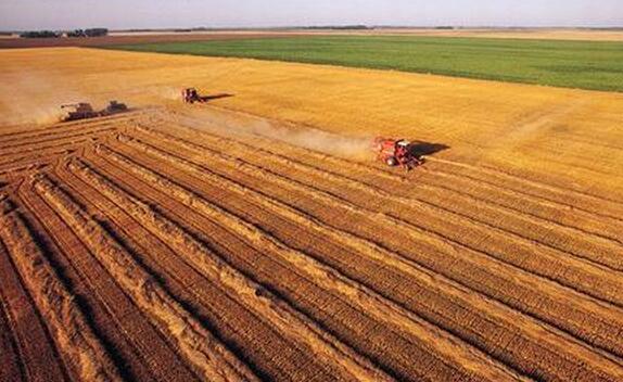 農(nóng)村土地流轉(zhuǎn)O2O:一種具有代表性的農(nóng)村<a href=/tech/biz/ target=_blank class=infotextkey>電商</a>下鄉(xiāng)模式