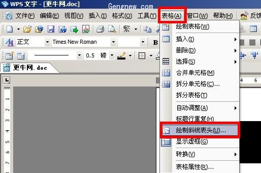 教你用WPS繪制斜線表頭