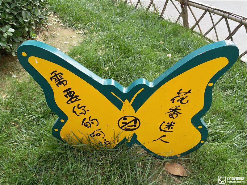 2199元真誠中國特供!三星Galaxy C5深度評測