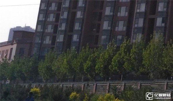 紅米手機3S/紅米Note 3/紅米手機3標準版/高配版對比