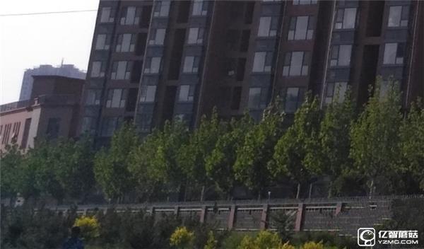 699元紅米3S深度評測：驍龍430、MIUI 8是亮點