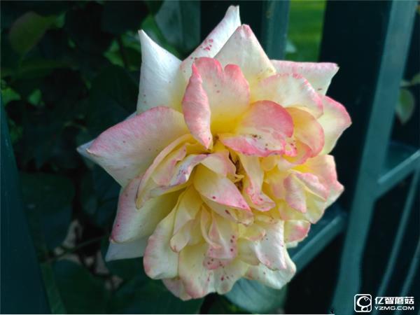 699元紅米3S深度評測：驍龍430、MIUI 8是亮點