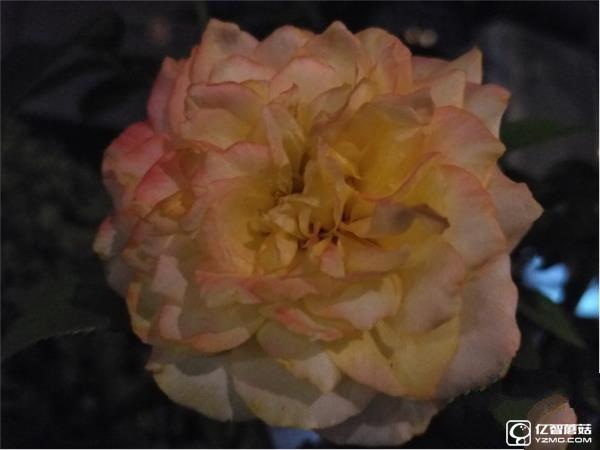 699元紅米3S深度評測：驍龍430、MIUI 8是亮點