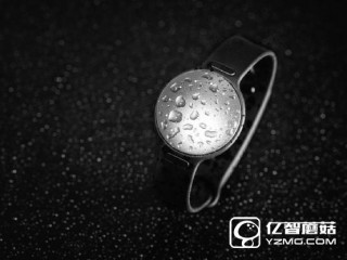 Misfit新增游泳追蹤功能  需付費購買有點坑爹