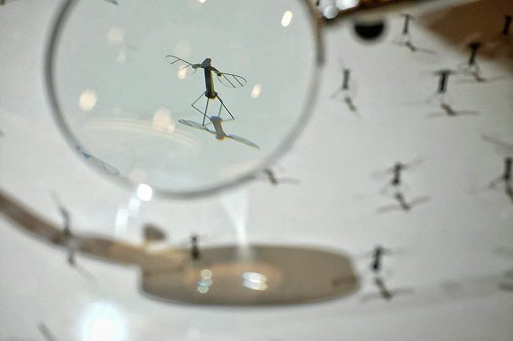 達沃斯探索區(qū)展示了多款機器人