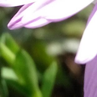 尖phone對決:榮耀5A PK 紅米Note 3(暫不發布)