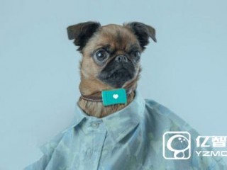 Tracy Tracker智能項圈：汪星人的貼心保姆