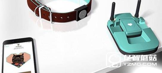 家中汪星人沒人管?Tracy Tracker智能管家幫你忙