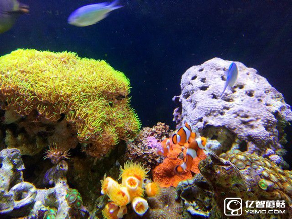 koobee酷比MAX5全面評測：薄快持久 