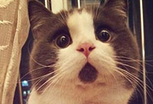 奇葩智能穿戴 簡直污到?jīng)]朋友