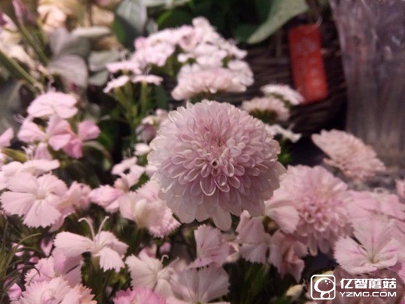 koobee酷比MAX5全面評測：薄快持久 