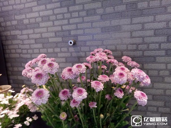 koobee酷比MAX5全面評測：薄快持久 