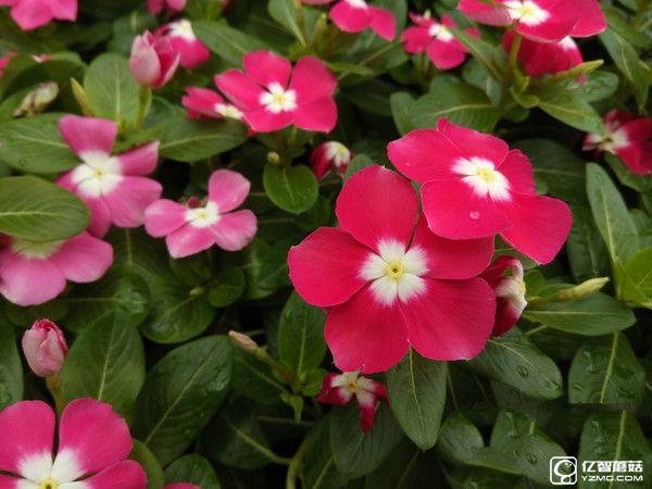 暢快長續航  360手機N4S評測