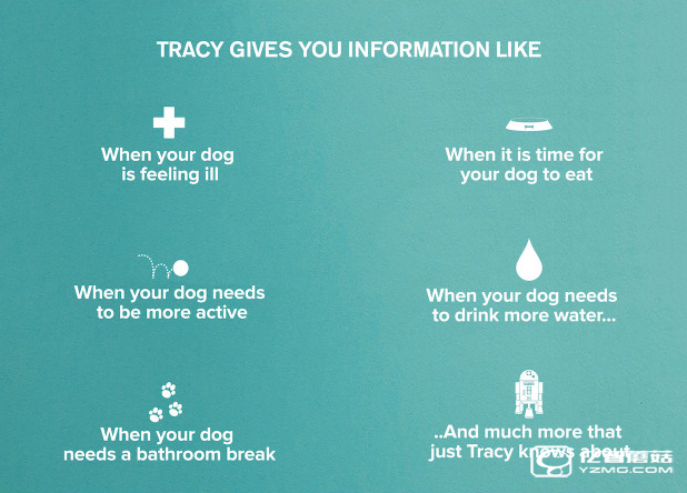 有了這條狗帶 你家狗狗也能說人話了