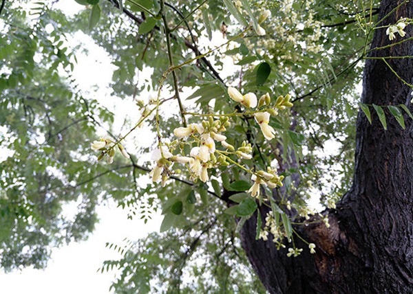 魅族MX6值得買嗎?魅族MX6深度評測