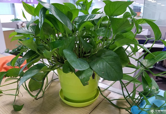 三星Note7拍照樣張 拍照樣張圖賞