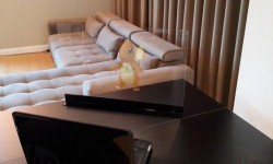 HoloVit半透明屏幕可以讓你在家中體驗增強現實