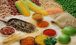 這些智能小工具告訴你食材是否健康