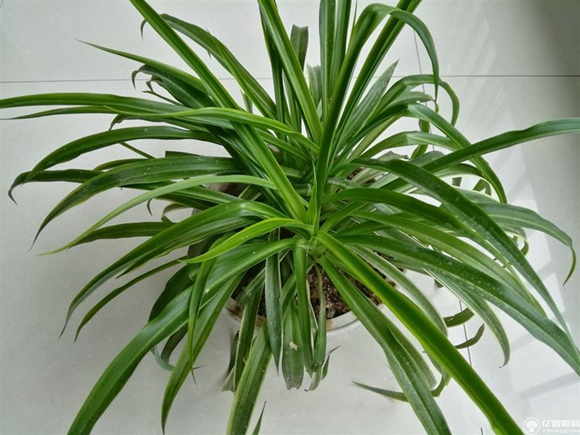 榮耀note8好不好?榮耀note8上手使用后深度評測