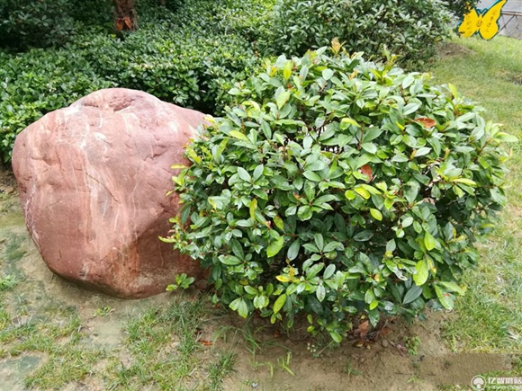 榮耀note8好不好?榮耀note8上手使用后深度評測