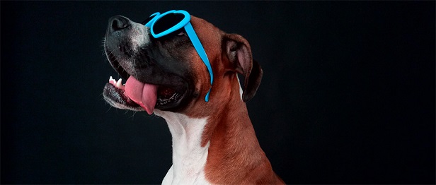 魅藍E怎么樣 1299元魅藍E發布會圖文回顧