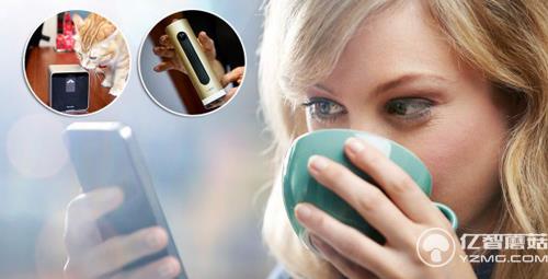 寵物界的智能穿戴設(shè)備 萌寵必備