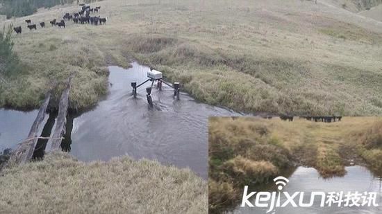 智能機器人農業應用:施肥殺蟲無所不能