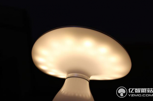 看臉的時代 智能燈也要拼顏值