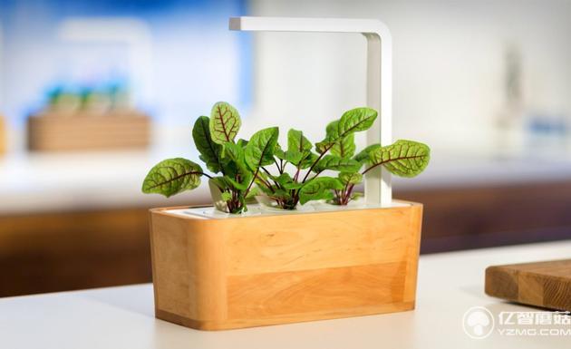 智能盆栽和Edyn植物檢測棒 懶人養花草必備