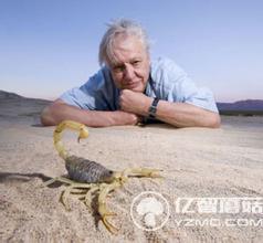 大衛(wèi)愛登堡 自然紀(jì)錄片之父作品集