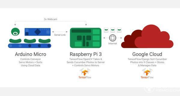 都說谷歌的人工智能高大上 那就先說說如何幫農民分揀黃瓜