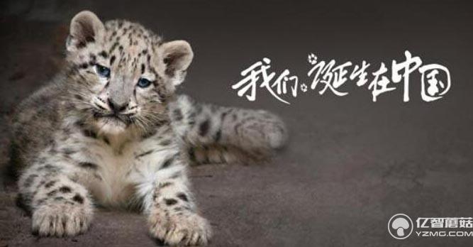 《我們誕生在中國》