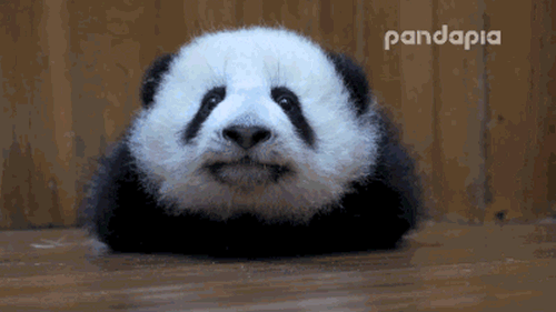 小時候你玩過竹馬嗎？現在升級版來了 超高級！