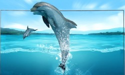 三星55量子點(diǎn)電視持續(xù)降價(jià) 體驗(yàn)視覺(jué)沖擊