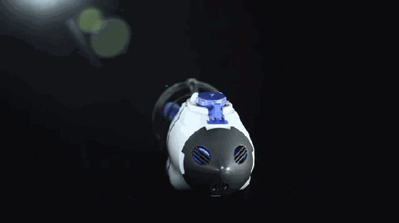 有了這個玩意你會驚嘆：美人魚竟然是這么養成的！