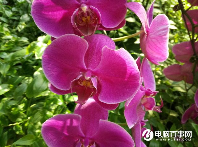 魅藍E半月使用體驗評測：品質實力不輸顏值