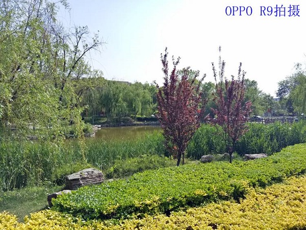 OPPO R9和360 N4S拍照哪個好？樣張對比