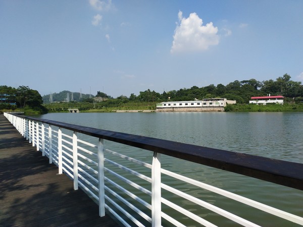 后置雙攝像頭 360手機(jī)Q5拍照評測