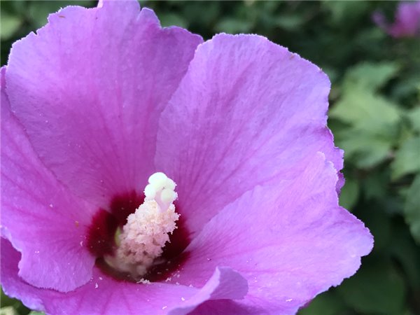 iPhone7/7 Plus評測:依然是目前體驗最好的手機