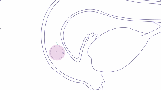 Eva智能手鐲把“造小人”這事兒變得超easy