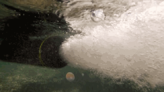 水上運動噴氣發(fā)動機來了 可實現(xiàn)運動器材電動化