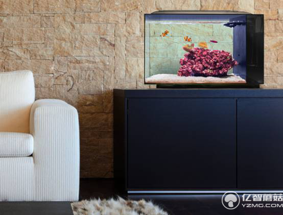 想要魚兒更健康地成長(zhǎng)？ 看看這款智能水族箱