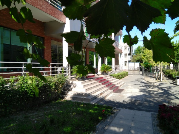 ZUK Z2和紅米Pro拍照哪個好？樣張區別對比