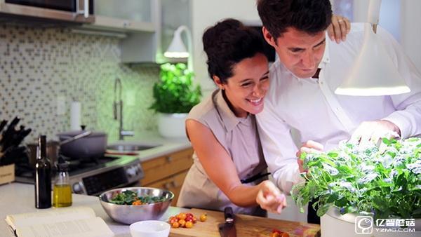 用SproutsIO在家種植有機蔬菜 有16種那么多