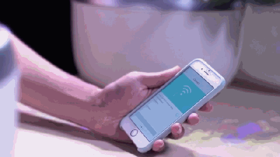 用SproutsIO在家種植有機蔬菜 有16種那么多