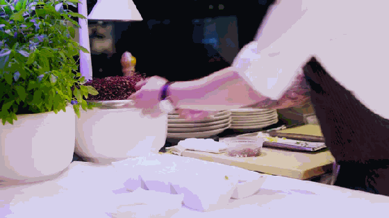 用SproutsIO在家種植有機蔬菜 有16種那么多