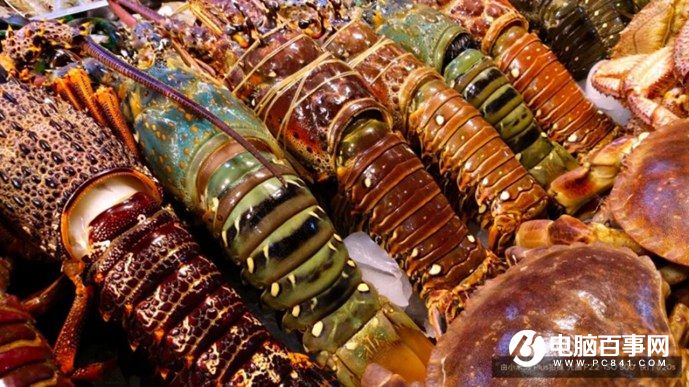 小米5s怎么樣 小米5s與5s Plus發布會圖文回顧